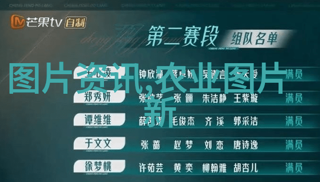 生态牧业的未来国家对养多只羊的补贴政策分析