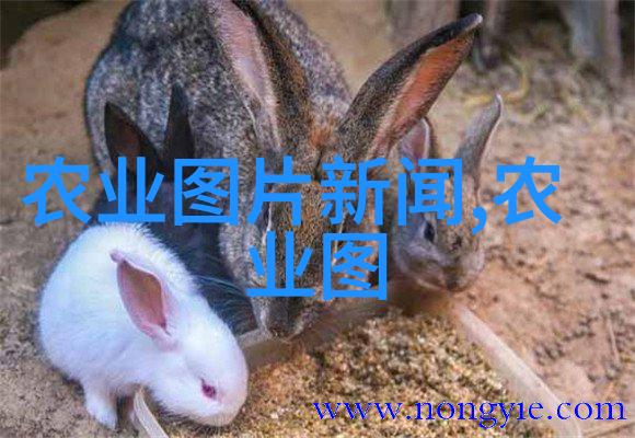 城市居民能从中获得什么好处随着越来越多的城市开始使用农业大数据服务了吗