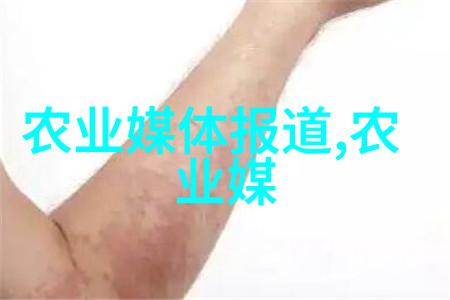 棉花种植指南从播种到收获的一步步过程