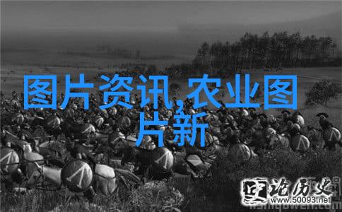 如何保证饲料中矿物质元素平衡