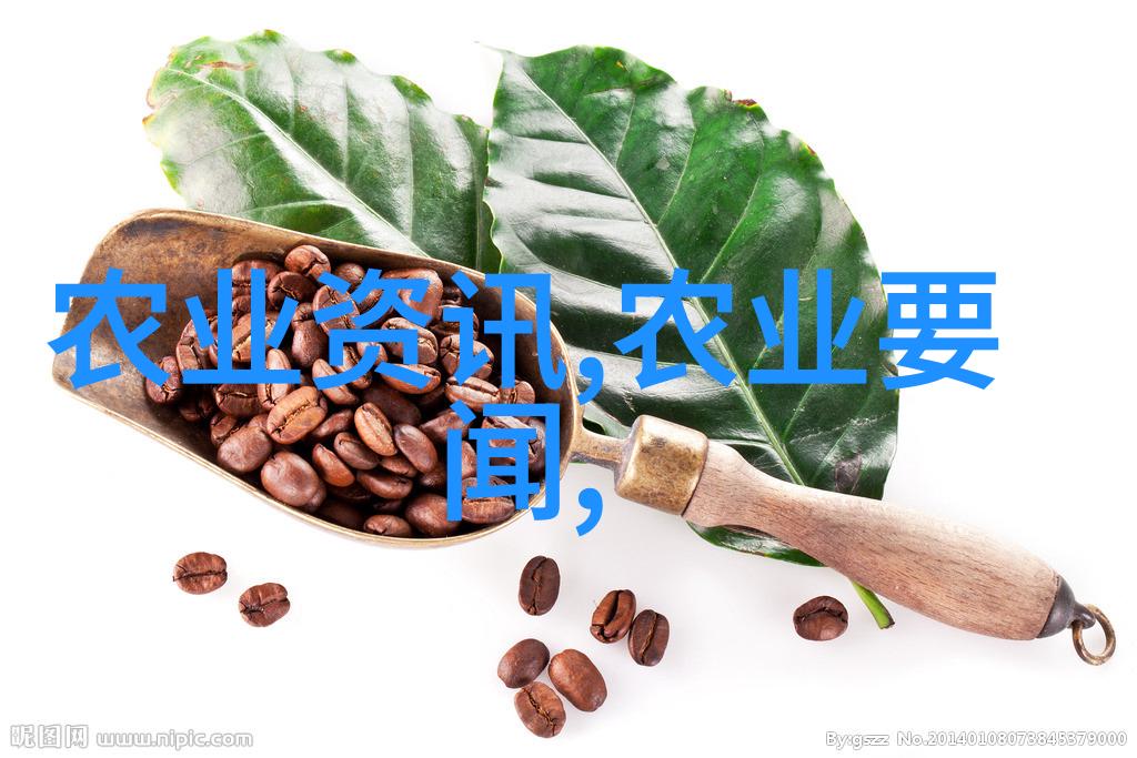 健康生活-品味茶香享受多彩益处探索各种各样的茶的健康好处