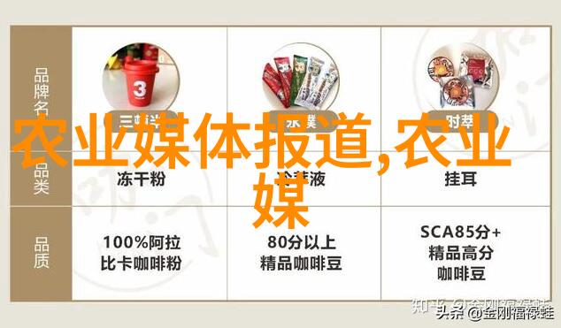 沉浸在茶香中的时光探索茶文化的深度