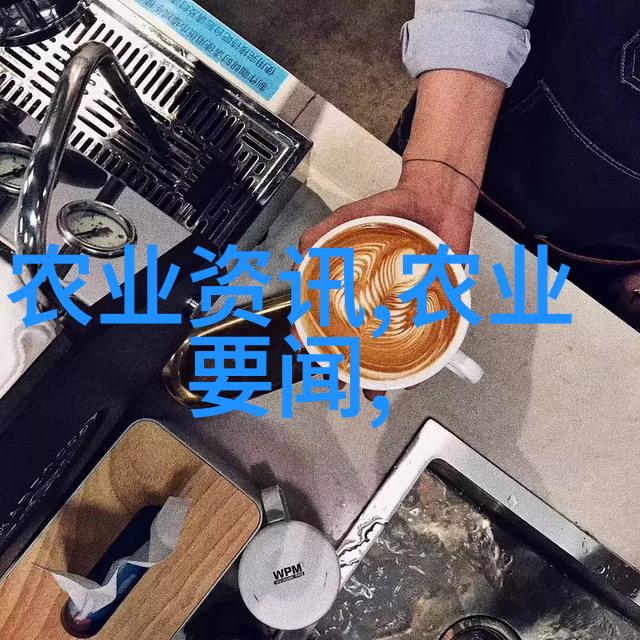 茶艺大师精通各种茶艺的高手