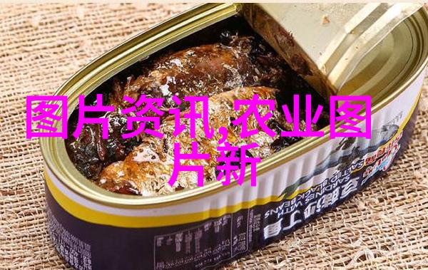 月的嫣然探索夜晚银河之美