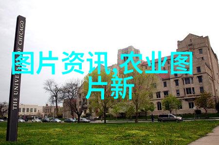 茗香纷飞沉淀在茶叶间的智慧
