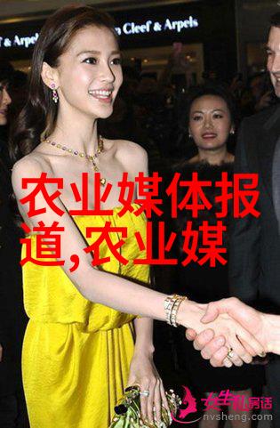 玉米秸秆打包机器人高效农业废弃物管理系统