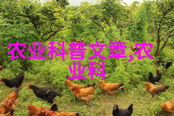 茶叶制作工艺的艺术与科学