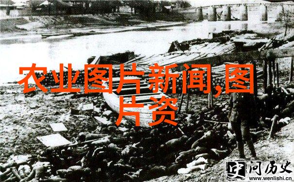 选择合适平台销售茶叶的指南
