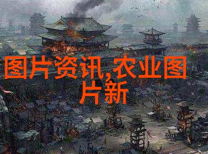 蜜蜂工具-蜜蜂工具全集探索每一件神奇的工艺品