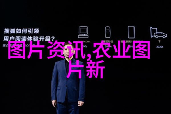 在烹饪中应该选择哪一种含不同数量種子的梨菜肴中使用
