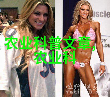 数字媒体技术的秘密世界解锁未知的虚拟现实
