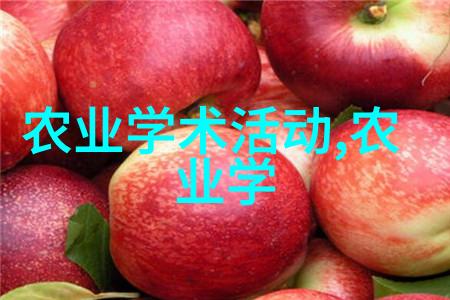 古典园林之冠侯阁亭的设计智慧与艺术魅力