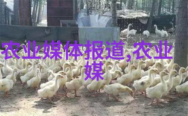 野菜大全一本通往自然食源的钥匙