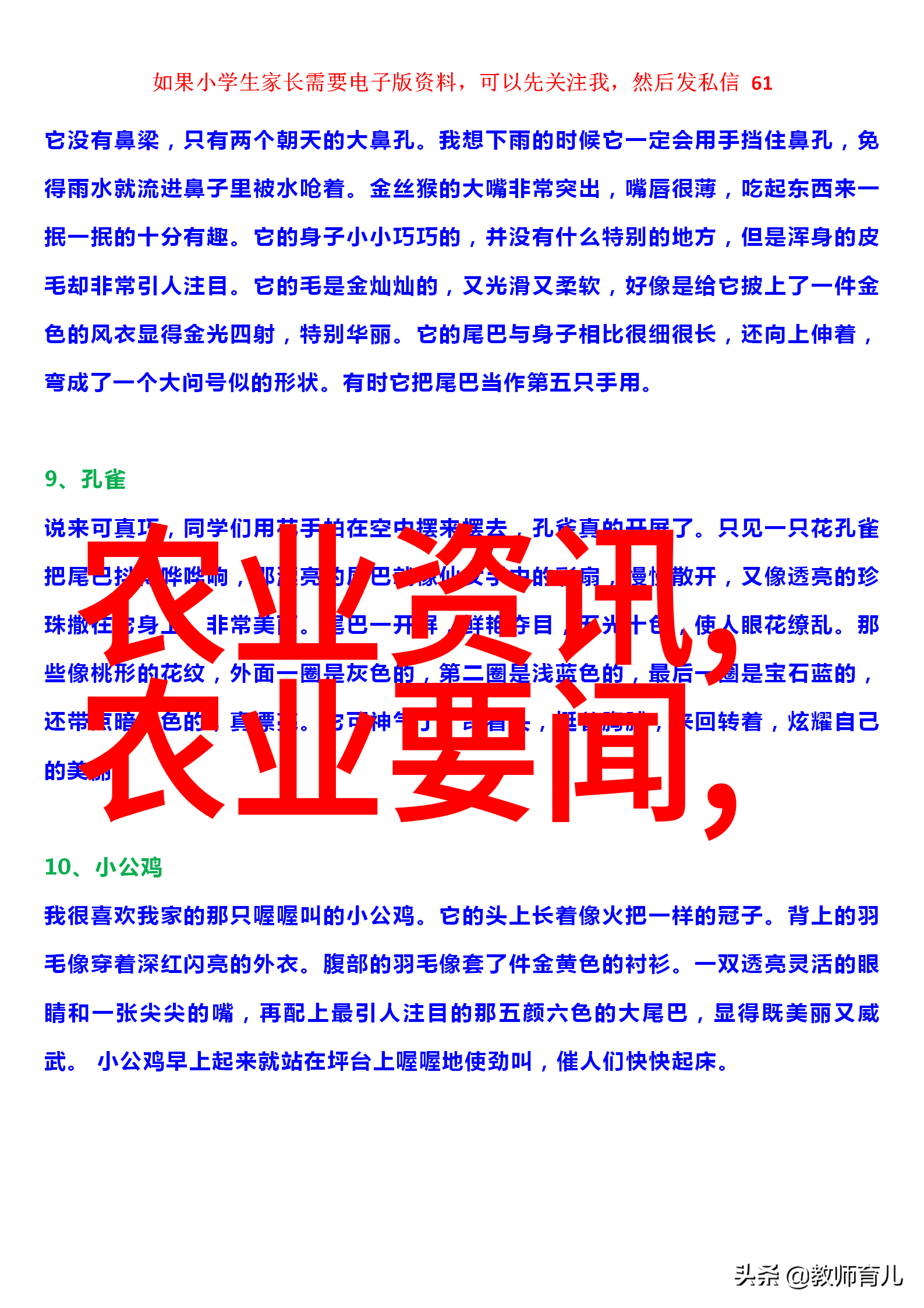 小型养殖场经营技巧2亩地创富之路