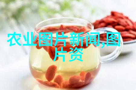 放牧乐趣与责任感乡村旅游营地的体验式学习机会