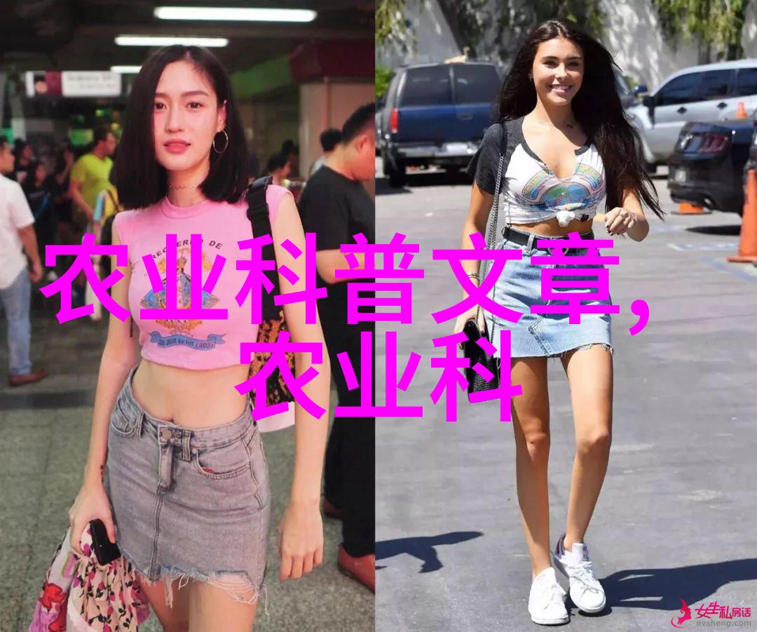密语交流分析蜜蜂数字语言中的分组信息
