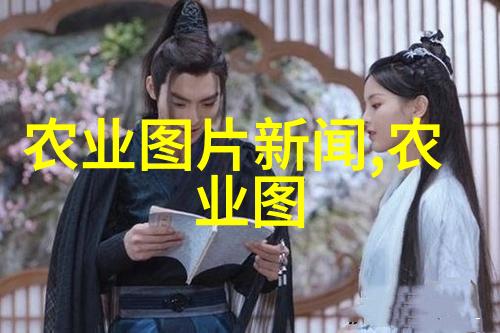 中蜂土洞土养技巧视频全解析从基础到高级的养殖秘诀