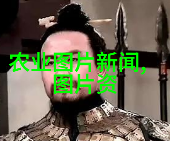 秋季养蜂技巧解析视频教程全揭秘