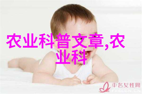 种粮致富大规模承包土地能否实现财务自由