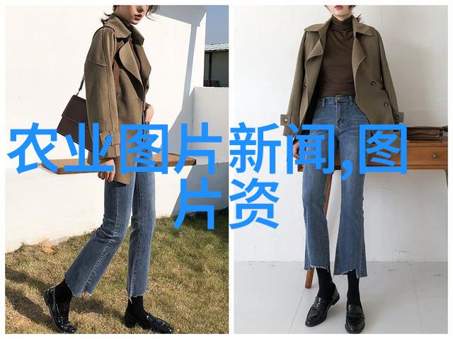 闯仙界板砖奇缘穿越者在异界的不凡征程
