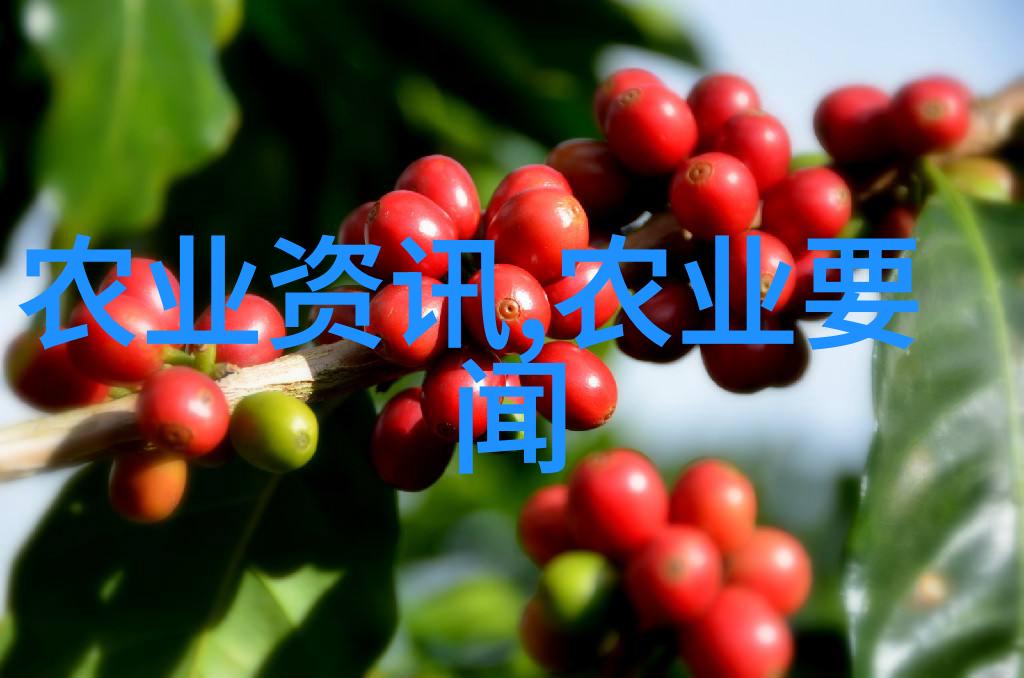 牛皮利润剖析养牛业的经济效益