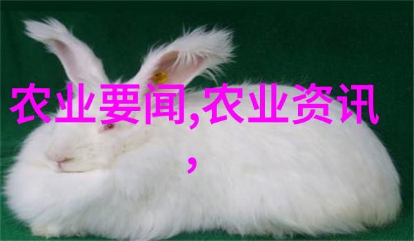 家庭乐园里的蔬菜盛宴