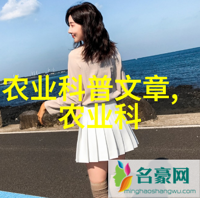 氯气处理系统的关键组成二氧化氯发生器