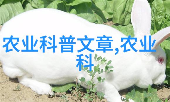 春日游憩花开满园的庭院美景