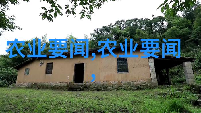 绿手指上的花艺详解种花种子的方法步骤