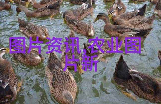 最容易种的盆栽水果-轻松引入园艺乐趣7种简单养护的水果植物