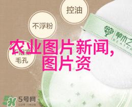 旱地药材种植艺术精准引领绿色健康新风潮