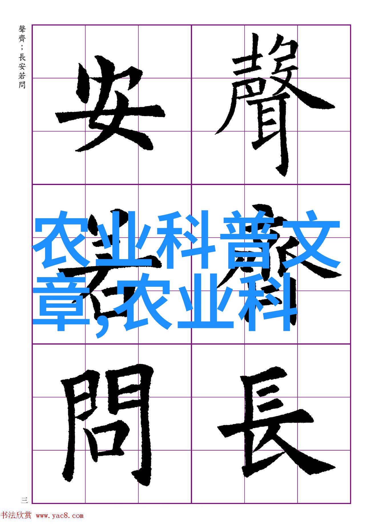 全是车的双男主文我俩的汽车世界从街头角逐到赛道挑战
