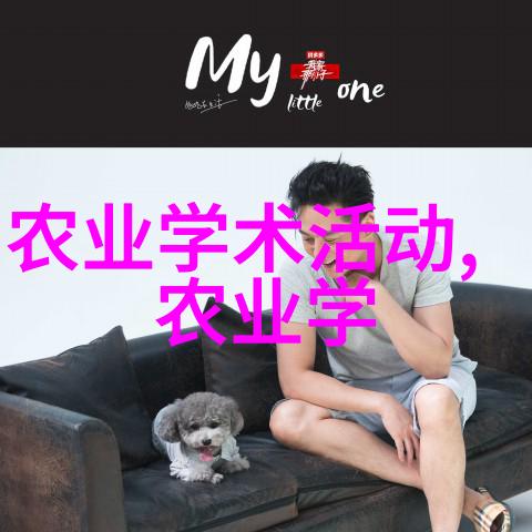 甘蓝菜的美味与健康之道