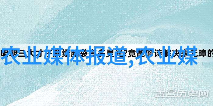 茶香缤纷探索茶文化的多彩魅力
