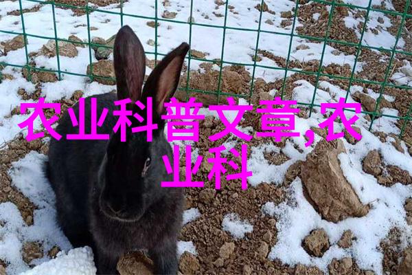 您知道吗这些水果竟然可以当作药材使用