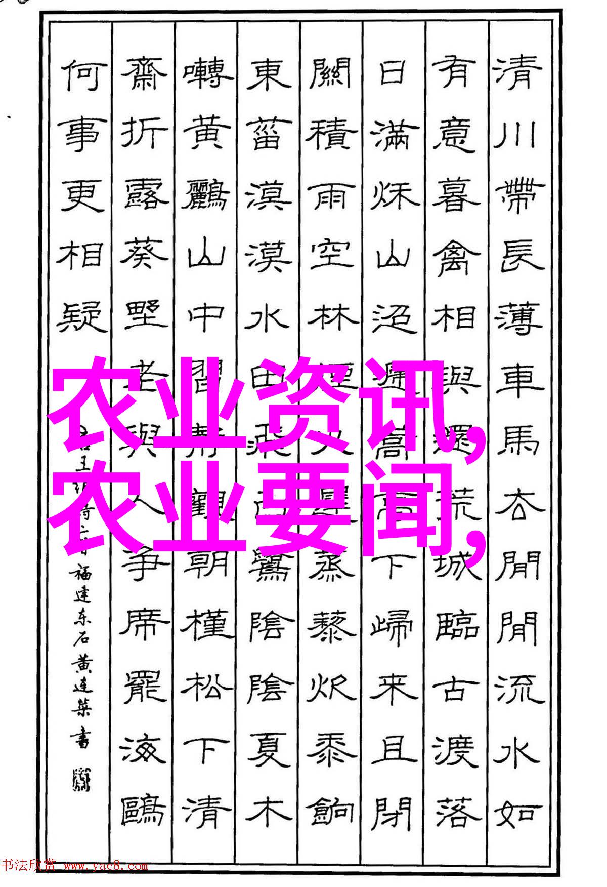 皮带轮我的工作伙伴不时断的动力源