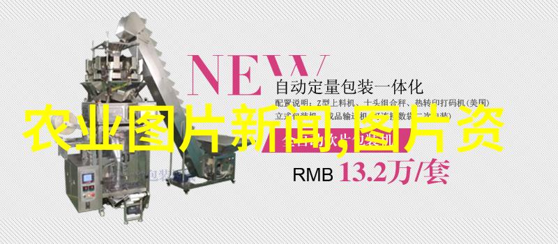 及时行乐的哲学与实践