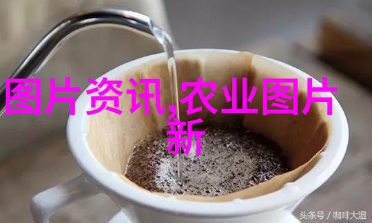 黑龙江适合种植的中药材如白术黄芪当归等