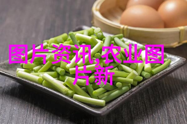 农民日报-携手共创美好明天农民日报40周年纪念特刊