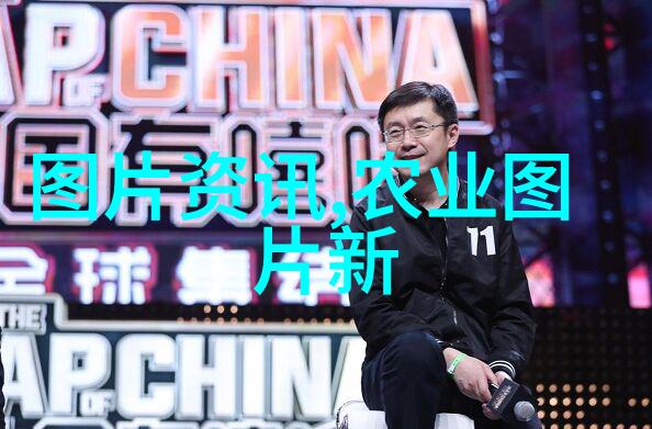 国家出台新政策在甘肃甘南州羊肚菌增收致富金路子有哪些