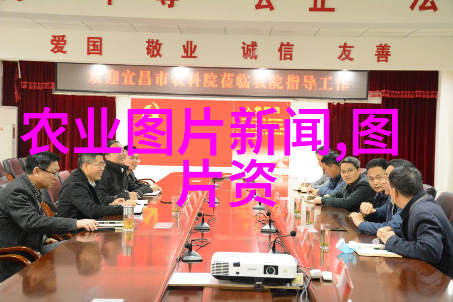 听从自然律动共创和谐生态观察并理解六月时期的蜜蜂数量波动现象