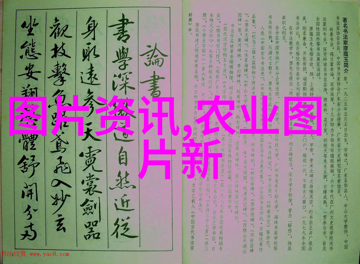 清理体内毒素助力油脂消化选择合适的减肥茶饮