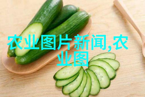 太阳能温室栽培绿色能源为植物提供最佳生长环境