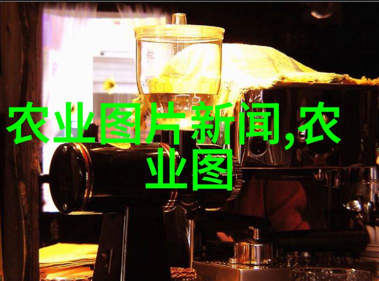 黑茶的独特之处就像一幅丰富多彩的画卷映照着茶文化的概念每一笔每一划都蕴含着不同的风味与韵味