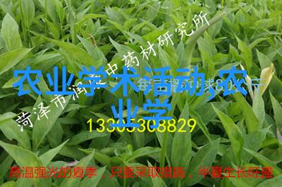 男朋友说要去公园要了我他约我去公园我怎么都猜不到会有啥大事儿