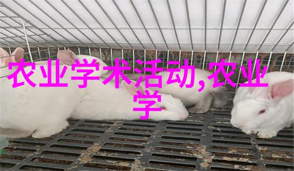 二氧化氯发生器环境保护的高效杀菌系统