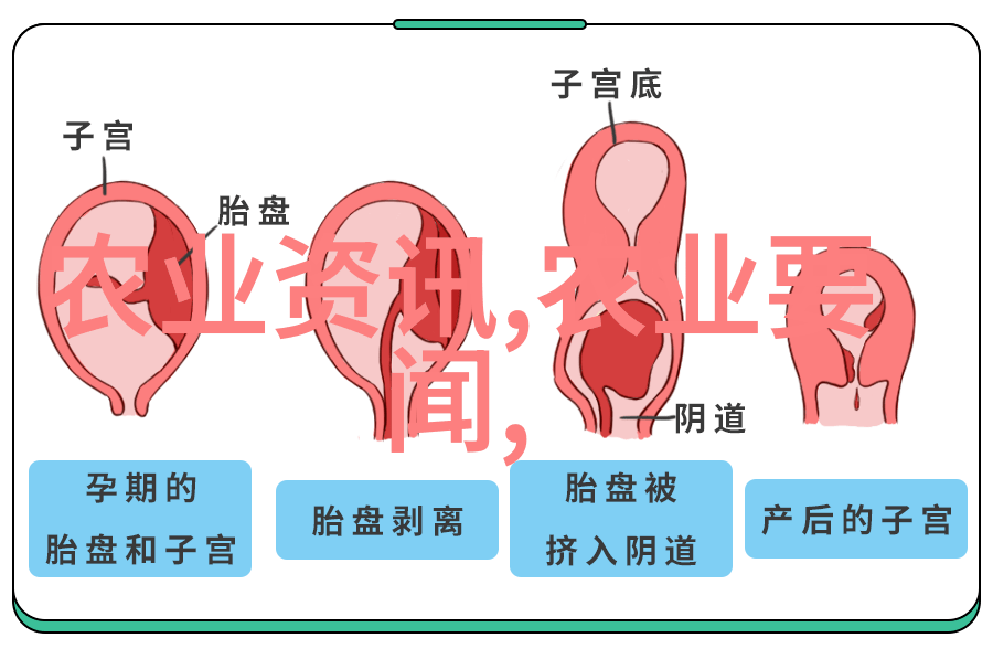 粮油作物种植 - 丰收的希望粮油作物种植技巧与挑战