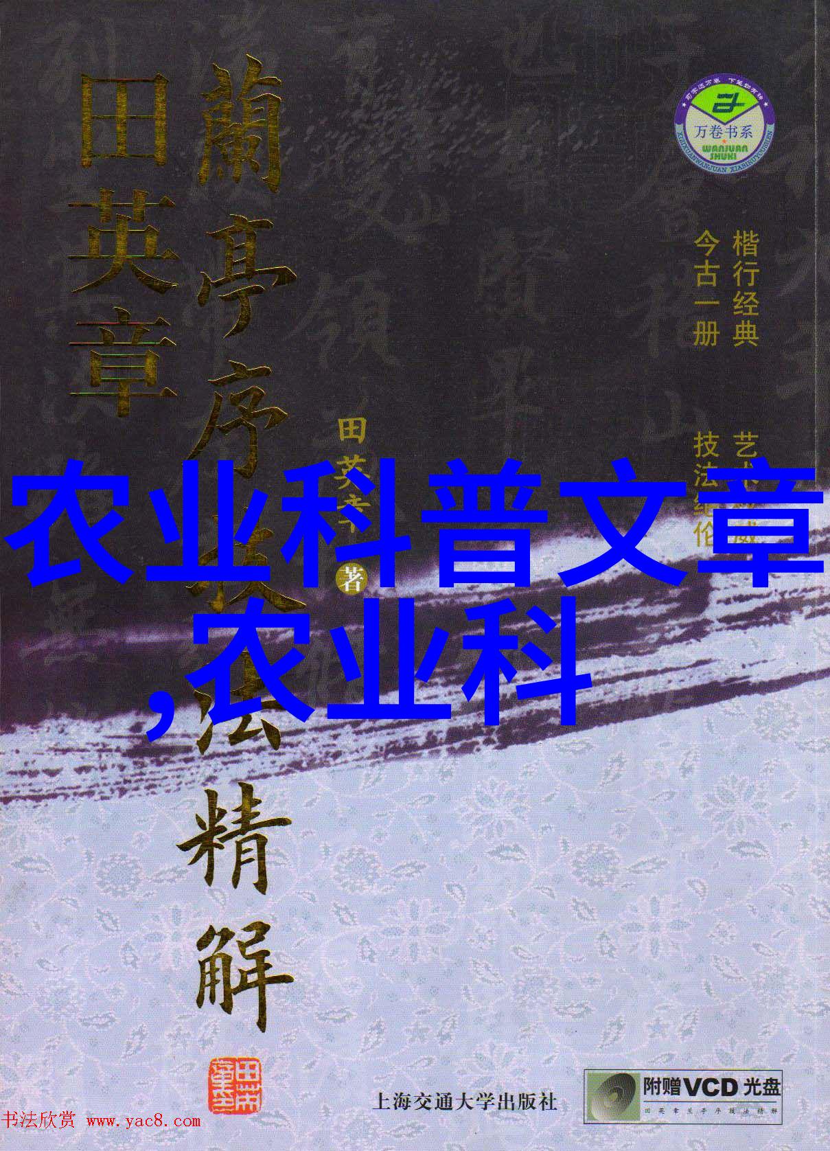 茶叶大全图片欣赏