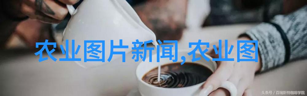 画面中的健康与幸福高分辨率养pig场照展现动物福利