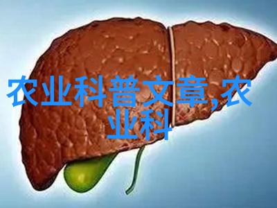 蛋鸡养殖技术我来教你怎么做生意高效的蛋鸡养殖技巧让你轻松赚钱